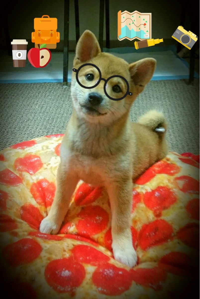 “历史瞬间”——那些载入WRC史册的伟大时刻