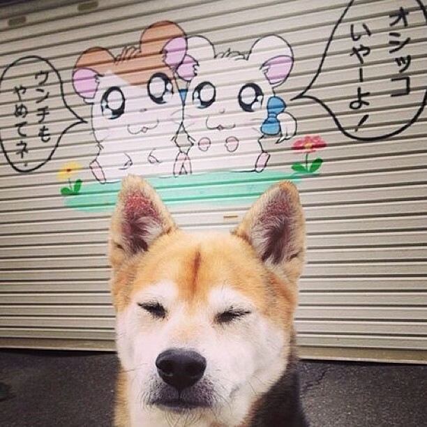 爱游戏官网-“本土教练培养计划取得显著成效”，教练员培养体系