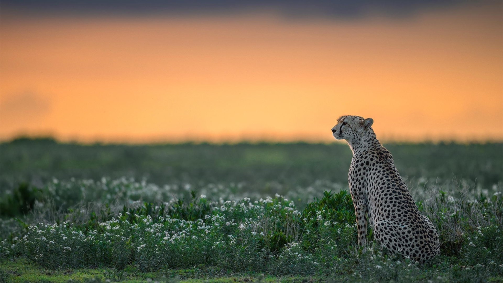 爱游戏电竞官网-【对战分析】两支劲旅的比赛亮点全景回顾