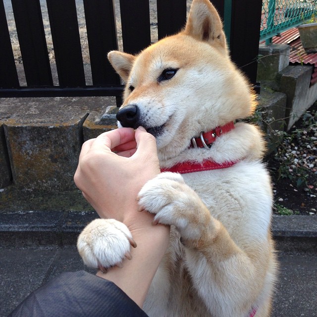 未来联盟:虚拟场景、AR观赛引领新纪元,一张图看懂未来联盟第一人, 现役第一人表示不服