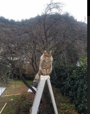流行街舞PK赛,热火朝天的舞台竞夺,街舞 流行舞