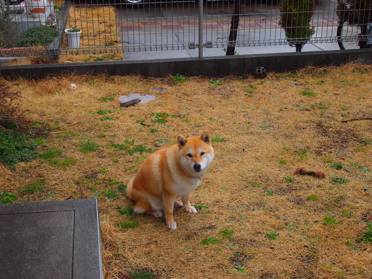 篮球裁判员培训纳入VR模拟技术,2020篮球裁判培训