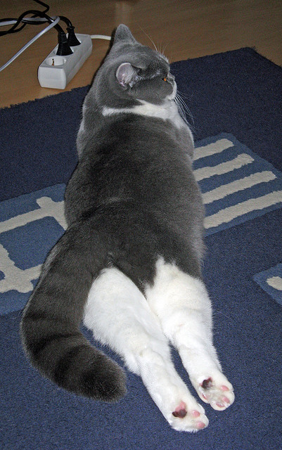 裁判因寒冷提前吹哨,墨西哥队抗议成功,墨西哥立场