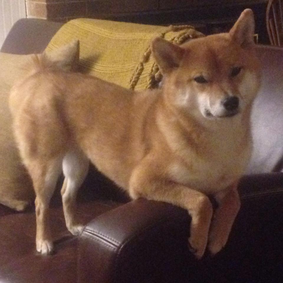 爱游戏电竞官网-西甲：比利亚雷亚尔3-2战胜马德里竞技，比赛火花四溅，比利亚雷亚尔足球