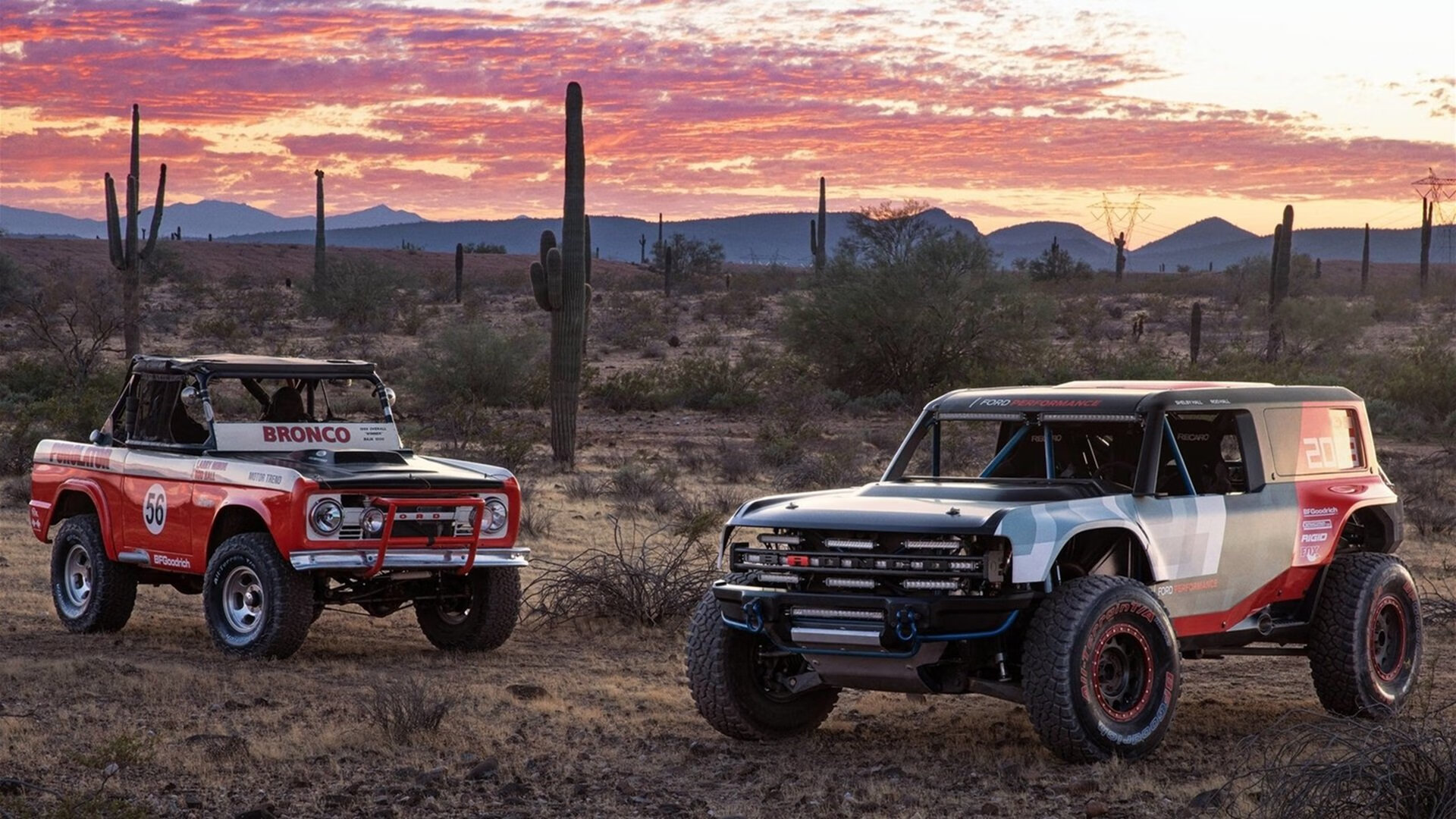 青少年极限绳索攀爬,跃上未知的高度,绳索攀登