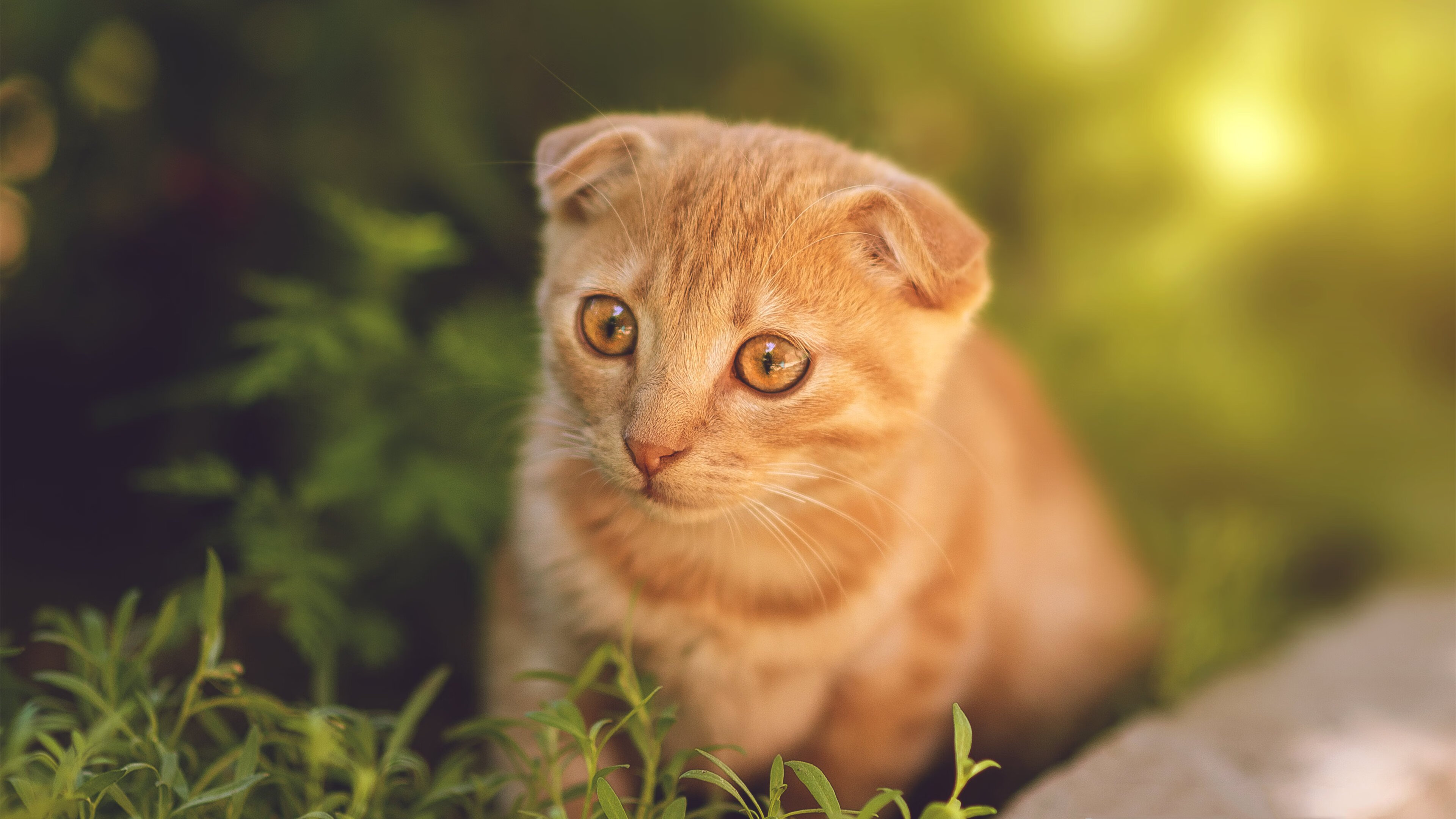 爱游戏中国官方登录入口网站-CBA联赛比赛录像分析技术，cba录像2021