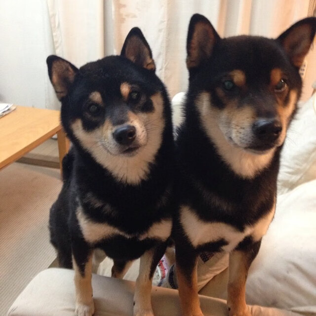 切尔西客场大胜，逆袭击败对手，继续保持领跑，切尔西 客场