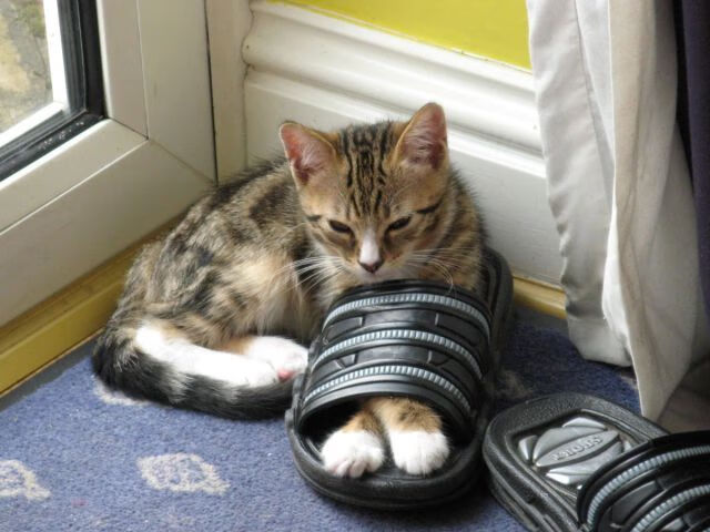 巴萨前锋破解对手防线,领先其他射手一步,巴萨历史的传奇前锋