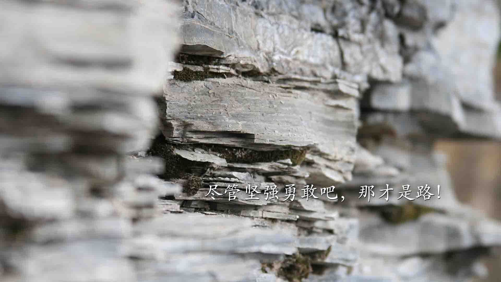 爱游戏在线登录入口-数据主导是否使比赛节奏趋于单一，数据主导决策对学业进步的禁锢