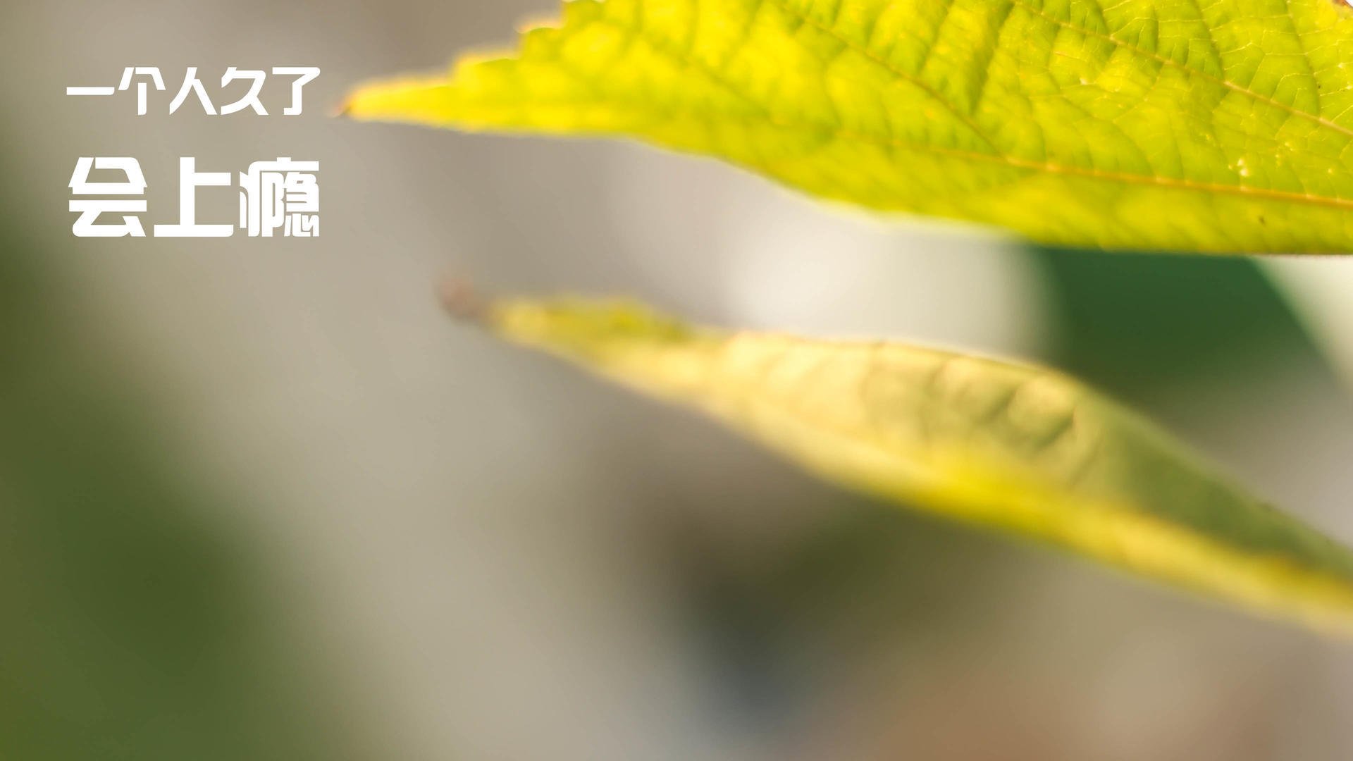 数据主导是否使比赛节奏趋于单一，数据主导决策对学业进步的禁锢