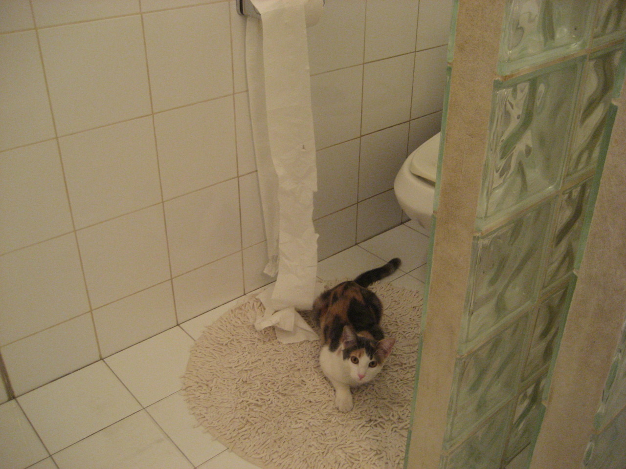 爱游戏平台-狼队客场逼平，积分榜上的状况稍有好转，狼队阵容2020