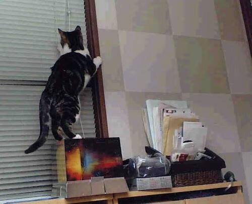 西布朗边路传中威胁大，铝土矿工拼抢关键分，西布朗外号