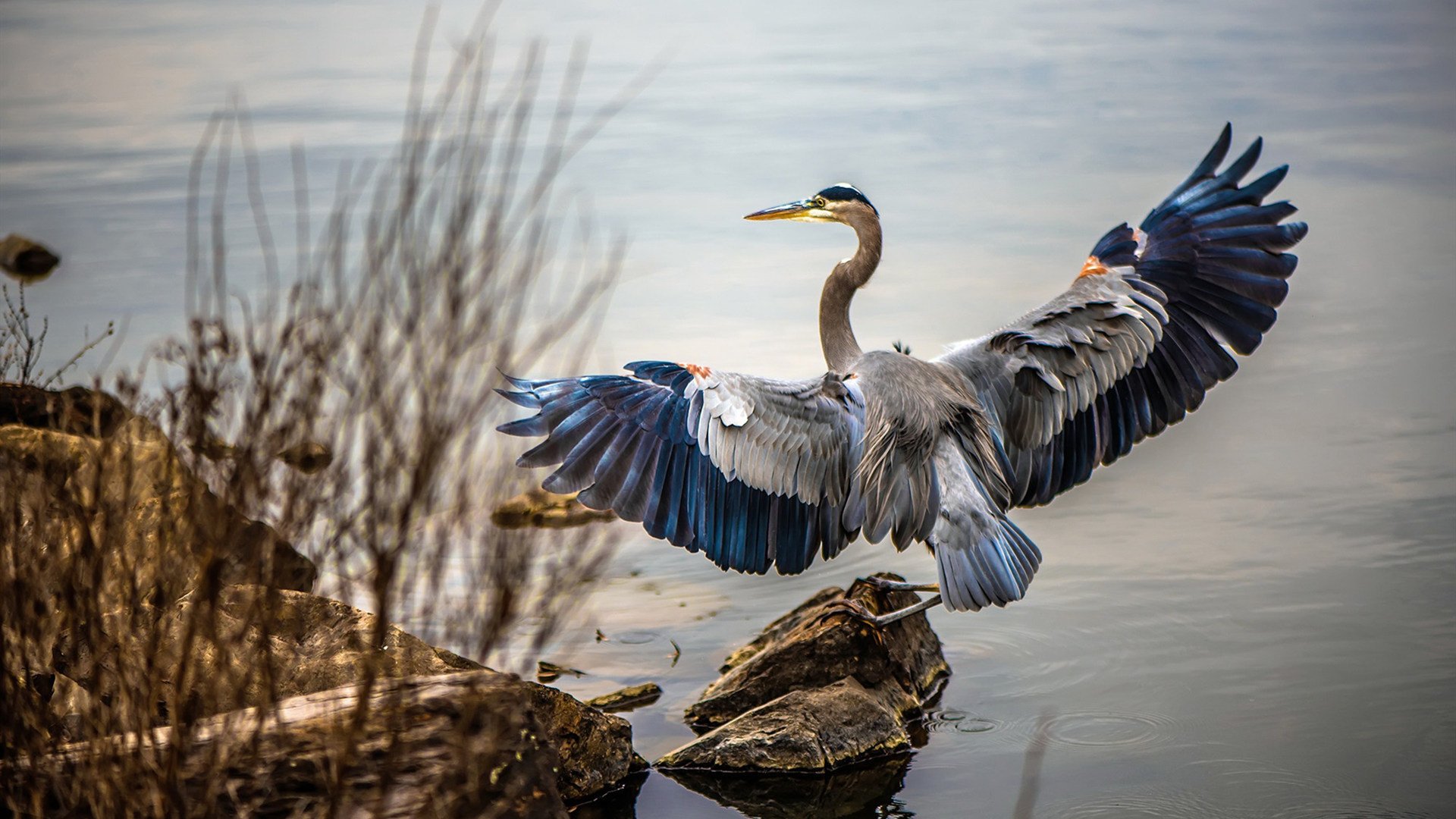 中国篮球职业俱乐部青训体系建设，中国青年篮球队