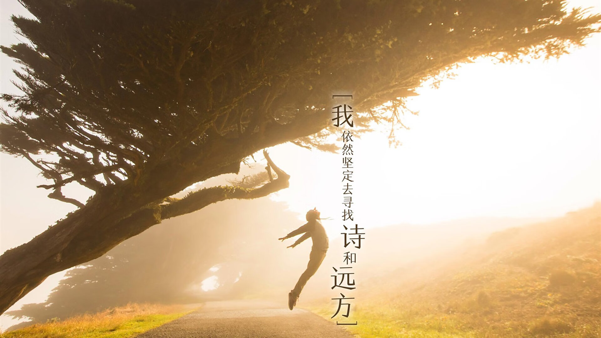 中国足球传球链效率结构分析，足球传球技术