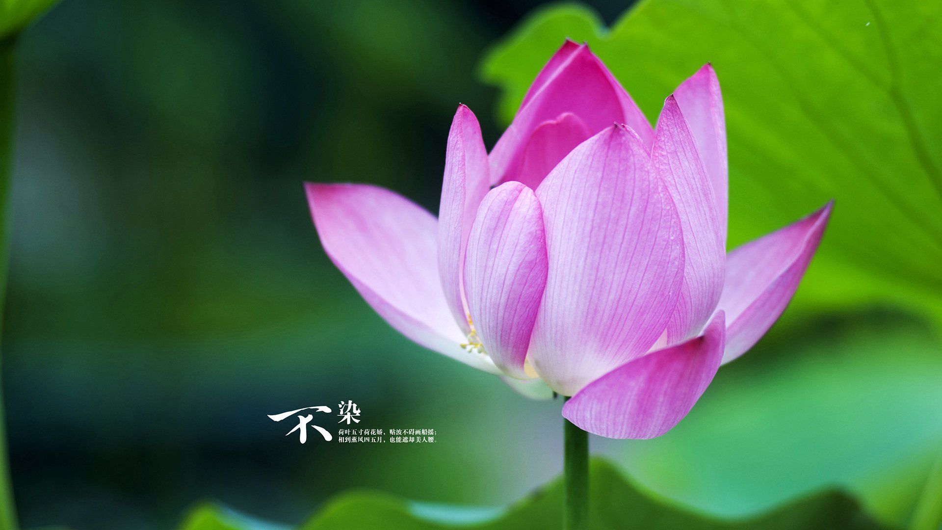 中小学体育课安全事故防控机制研究，体育课安全事故由谁负责