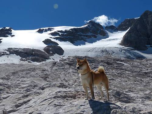 运动员焦点:球员的日常训练与生活揭秘,职业球员日常训练