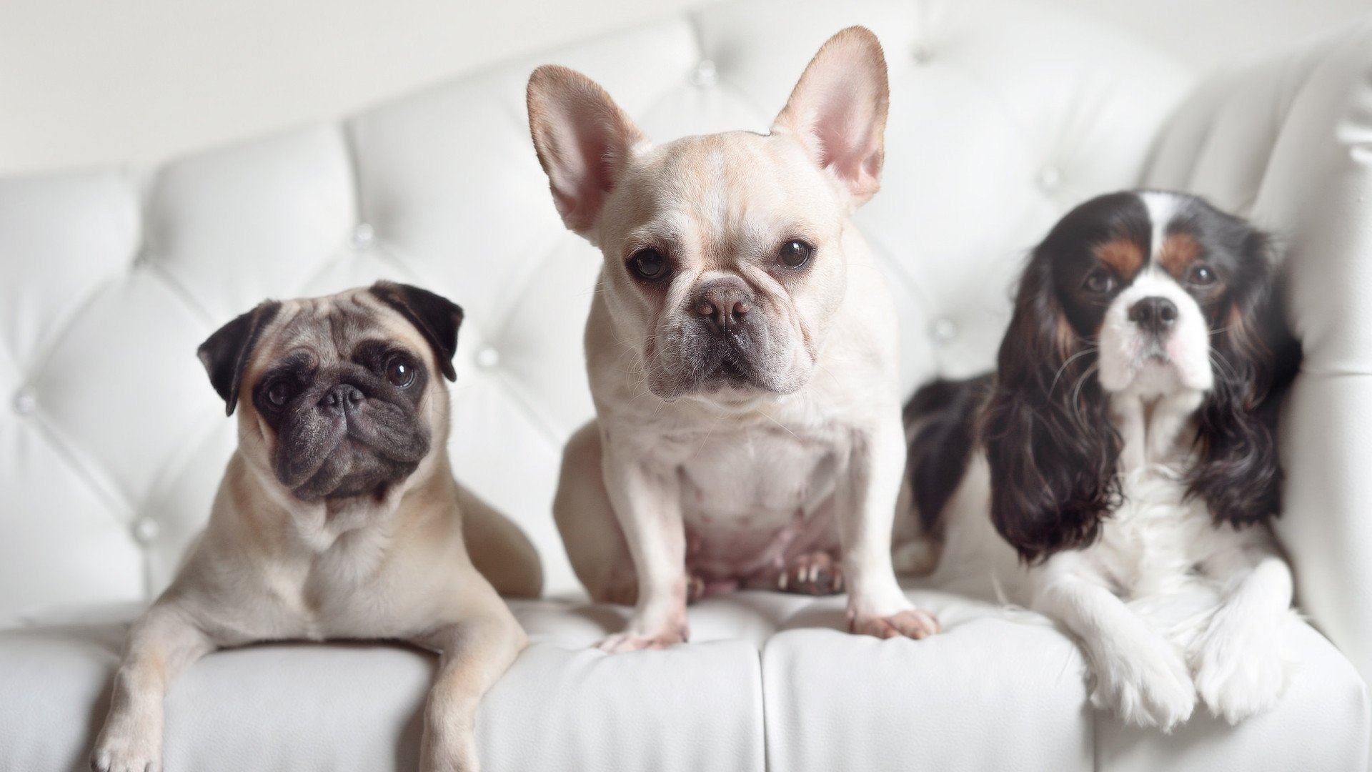 亚洲杯中国青年队战败 球员经验不足暴露,青年队 亚冠