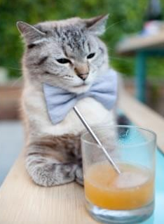 -全民健身项目融入社区生活，社区全民健身工作成效经验和做法