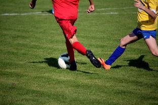 爱游戏体育平台-国家队与俱乐部之间协调机制为何不顺畅，国家队比赛和俱乐部比赛冲突