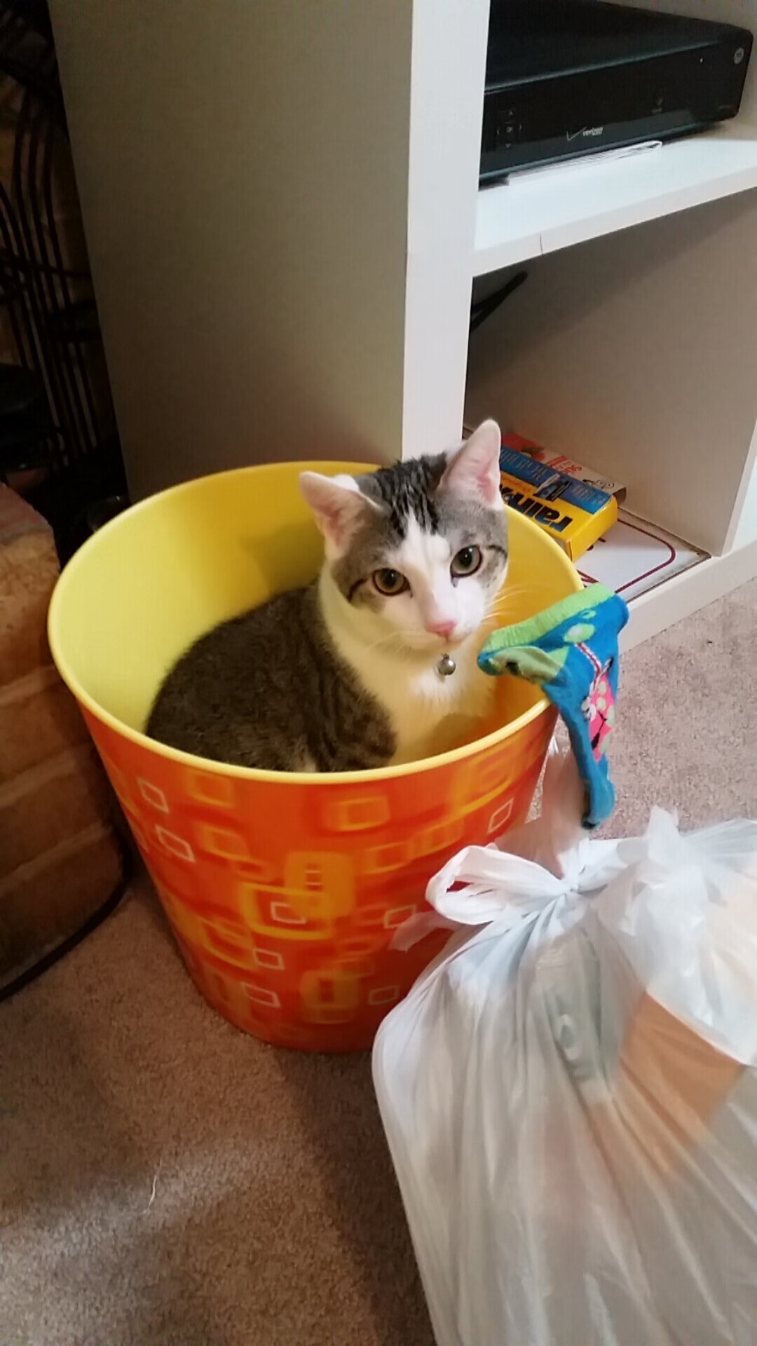 AYX GAME-新援到队后第一堂训练课表现积极迅速融入团队氛围