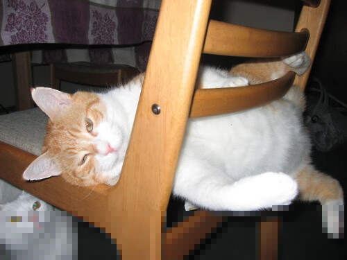 爱游戏娱乐平台-田径长跑训练计划科学化系统化，田径长跑技术要领