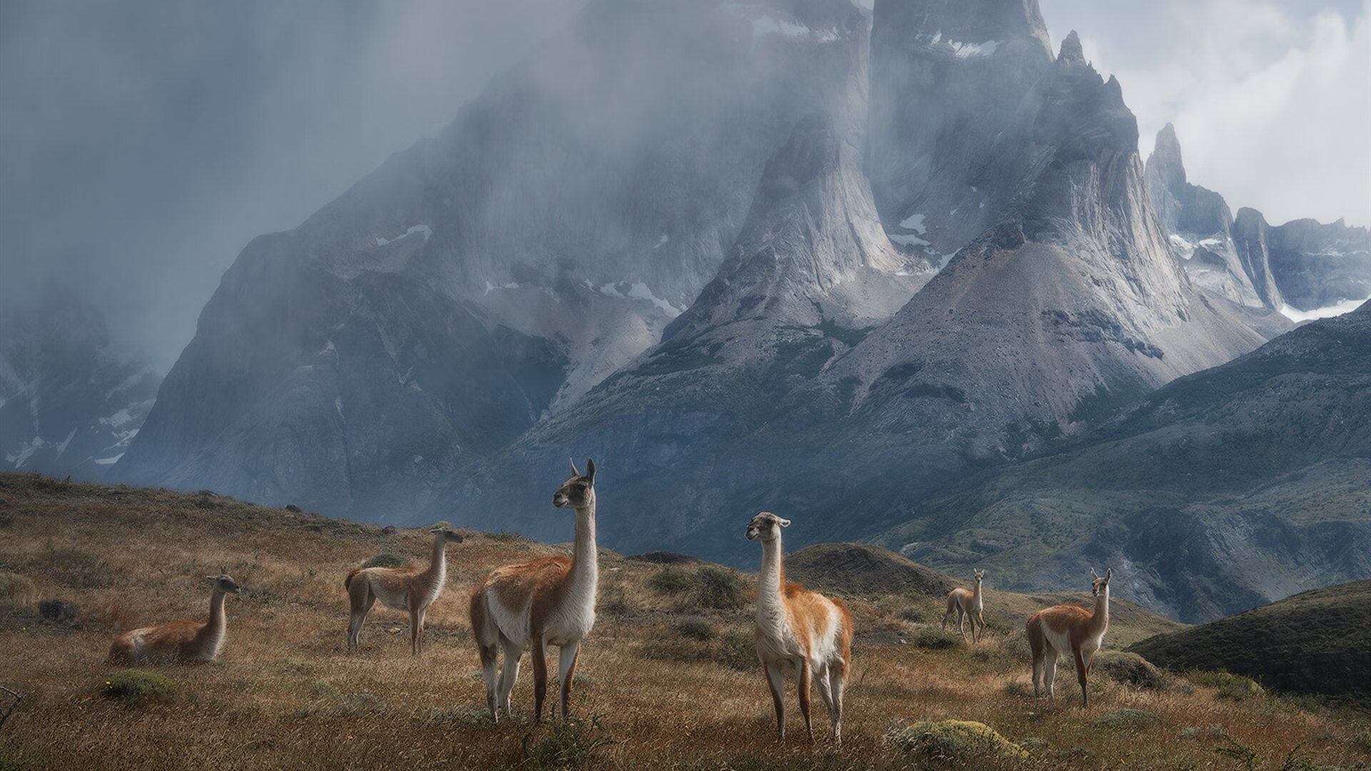 足球运动员健康管理体系不断完善,科学预防运动损伤,足球运动员的保护措施